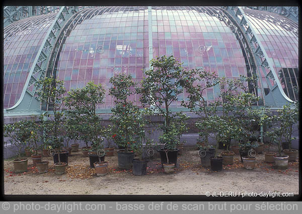 serres royales de Laeken (Bruxelles)
Royal Greenhouses of Laeken (Brussels)